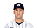 Gleyber Torres portrait