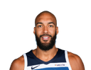 Rudy Gobert portrait