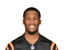 Tee Higgins portrait