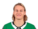 Roope Hintz portrait
