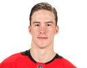Andrei Svechnikov portrait