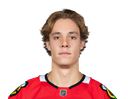 Alex Vlasic portrait