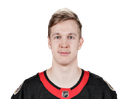 Leevi Merilainen portrait
