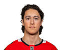Nick Lardis portrait
